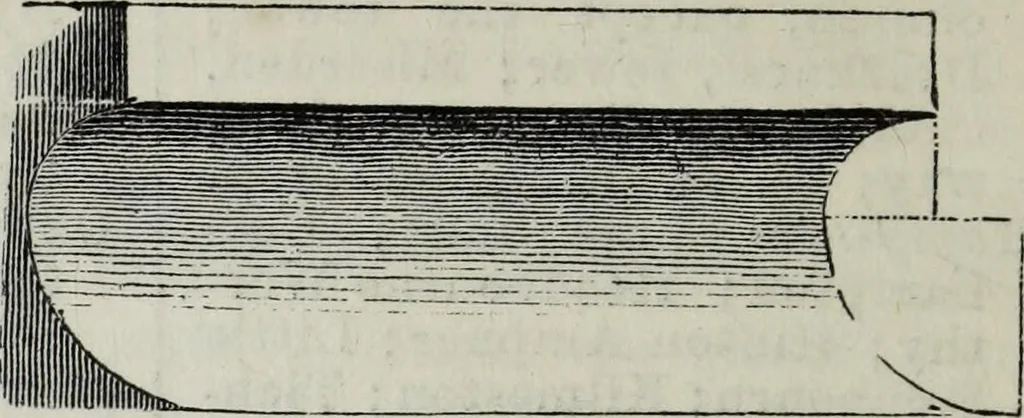 An illustration from A concise glossary of terms used in Grecian, Roman, Italian, and Gothic architecture, 1879, leaf 257