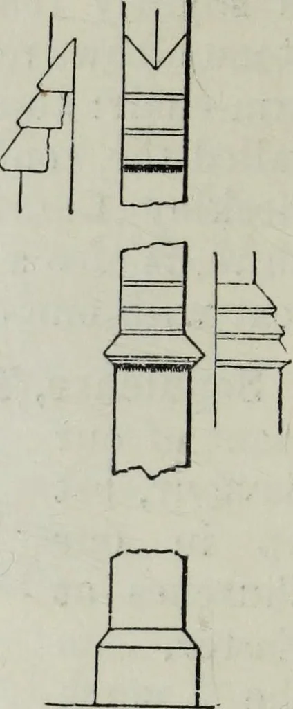 An illustration from A concise glossary of terms used in Grecian, Roman, Italian, and Gothic architecture, 1879, leaf 263