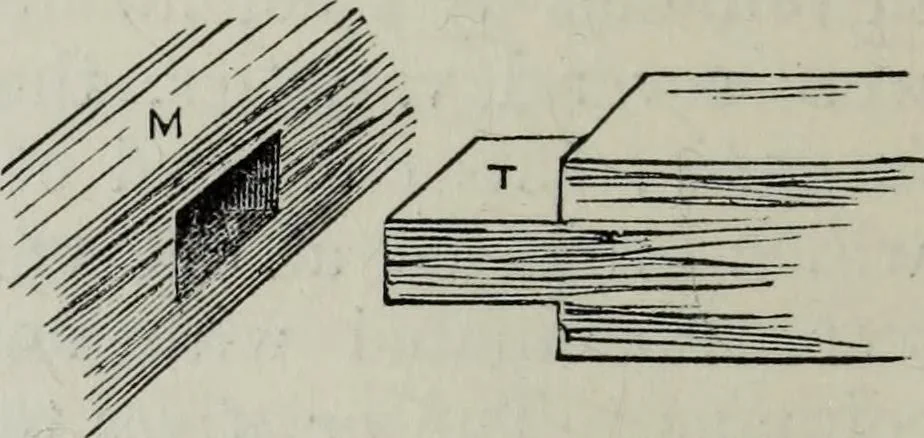 An illustration from A concise glossary of terms used in Grecian, Roman, Italian, and Gothic architecture, 1879, leaf 287