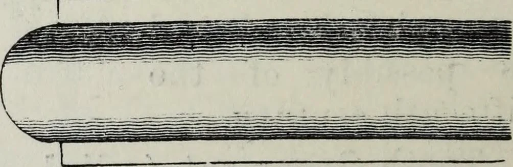 An illustration from A concise glossary of terms used in Grecian, Roman, Italian, and Gothic architecture, 1879, leaf 301