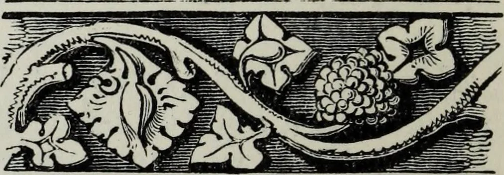 An illustration from A concise glossary of terms used in Grecian, Roman, Italian, and Gothic architecture, 1879, leaf 327
