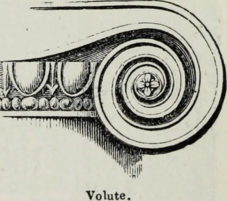 An illustration from A concise glossary of terms used in Grecian, Roman, Italian, and Gothic architecture, 1879, leaf 328