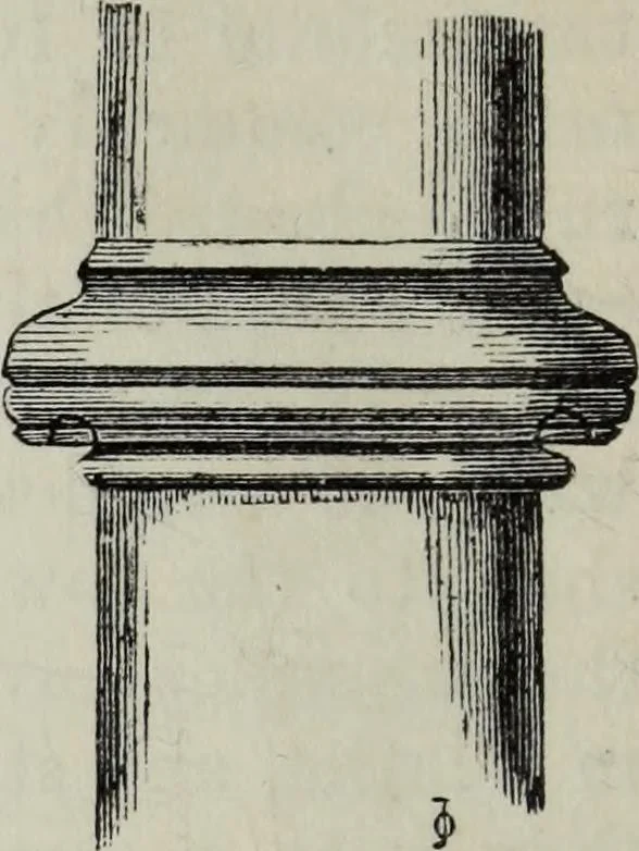 An illustration from A concise glossary of terms used in Grecian, Roman, Italian, and Gothic architecture, 1879, leaf 39