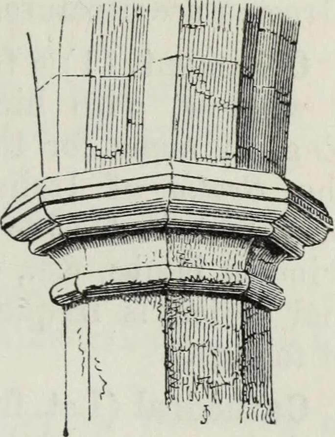 An illustration from A concise glossary of terms used in Grecian, Roman, Italian, and Gothic architecture, 1879, leaf 66