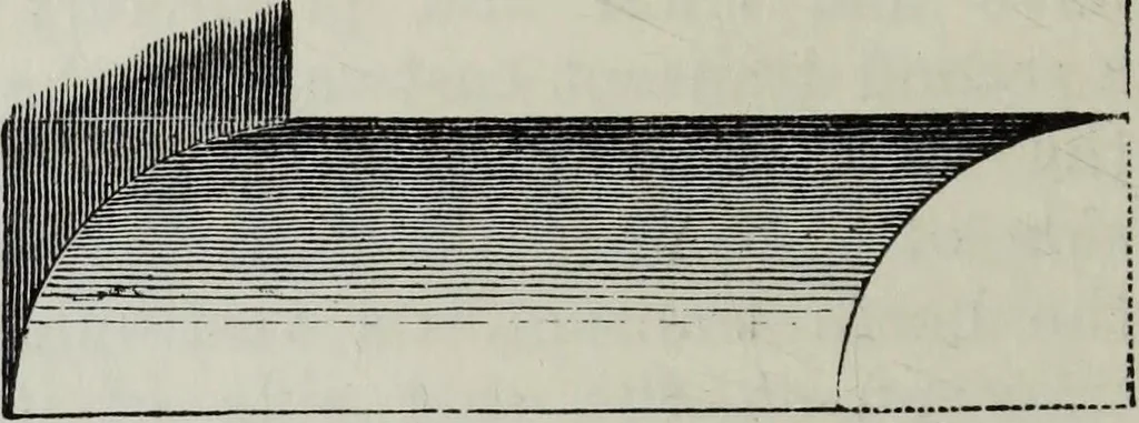 An illustration from A concise glossary of terms used in Grecian, Roman, Italian, and Gothic architecture, 1879, leaf 71