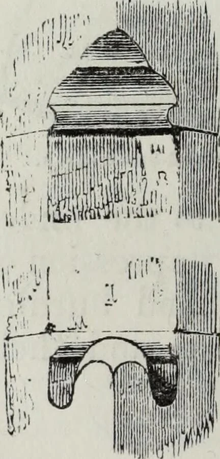 An illustration from A concise glossary of terms used in Grecian, Roman, Italian, and Gothic architecture, 1879, leaf 73