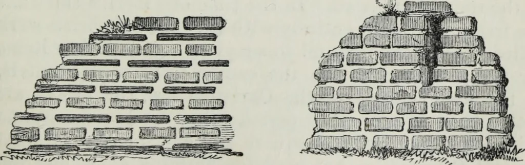 An illustration from A concise glossary of terms used in Grecian, Roman, Italian, and Gothic architecture, 1879, leaf 86