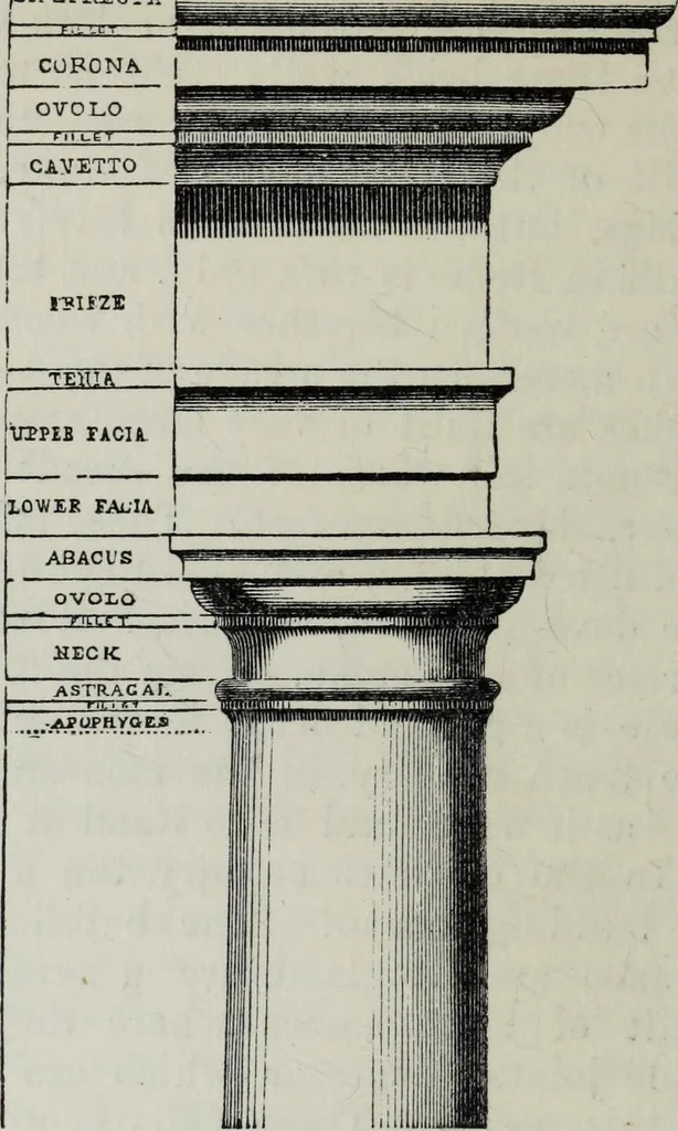 An illustration from A concise glossary of terms used in Grecian, Roman, Italian, and Gothic architecture, 1879, leaf 89