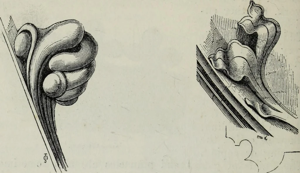 An illustration from A concise glossary of terms used in Grecian, Roman, Italian, and Gothic architecture, 1879, leaf 95