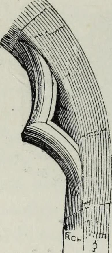 An illustration from A concise glossary of terms used in Grecian, Roman, Italian, and Gothic architecture, 1879, leaf 99