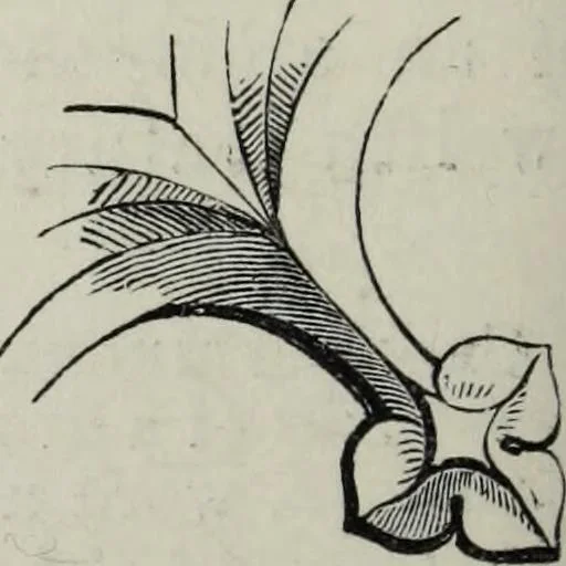 An illustration from A concise glossary of terms used in Grecian, Roman, Italian, and Gothic architecture, 1879, leaf 99
