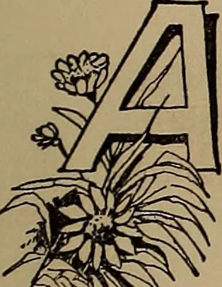 An illustration from A concise and rational course in hypnotism, 1900, leaf 26