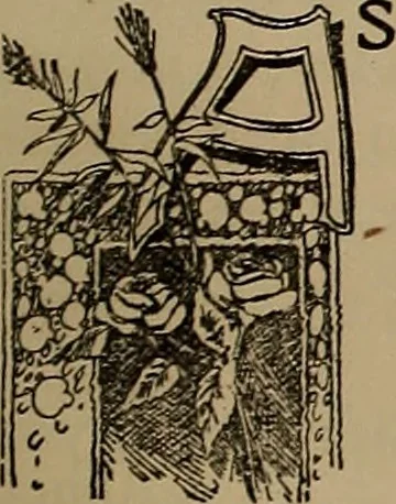 An illustration from A concise and rational course in hypnotism, 1900, leaf 36