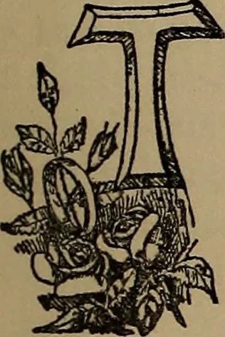 An illustration from A concise and rational course in hypnotism, 1900, leaf 8