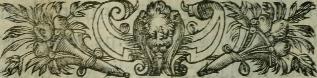 An illustration from Conference des edicts de pacification des trovbles esmevs av royaume de France, pour le faict de la religion; & traittez ou reglemens faicts par les rois Charles IX. & Henri III. & de la Declaration d'iceux, du roy Henri IIII. de France & de Nauarre. Publiee en parlement le 25. feurier, 1599. Auec l'explication du contenu en chascun article par l'histoiré ecclesiastique & profane, droicts ciuil & canonique, ordonnances & coustumes de ce royaume, 1600, leaf 417