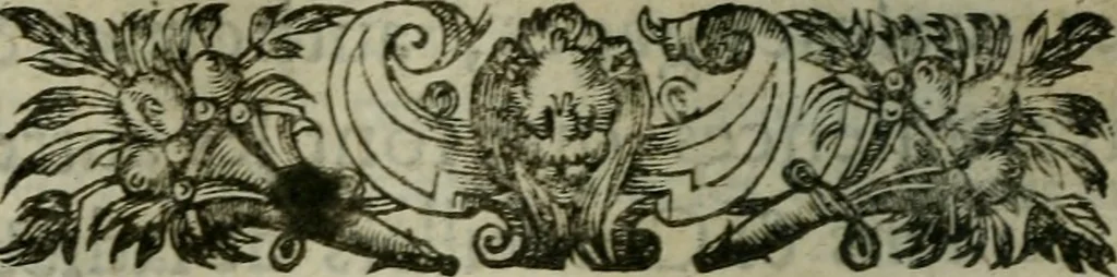 An illustration from Conference des edicts de pacification des trovbles esmevs av royaume de France, pour le faict de la religion; & traittez ou reglemens faicts par les rois Charles IX. & Henri III. & de la Declaration d'iceux, du roy Henri IIII. de France & de Nauarre. Publiee en parlement le 25. feurier, 1599. Auec l'explication du contenu en chascun article par l'histoiré ecclesiastique & profane, droicts ciuil & canonique, ordonnances & coustumes de ce royaume, 1600, leaf 485