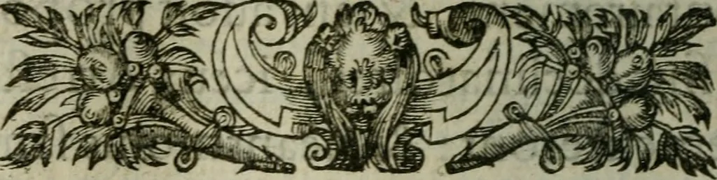 An illustration from Conference des edicts de pacification des trovbles esmevs av royaume de France, pour le faict de la religion; & traittez ou reglemens faicts par les rois Charles IX. & Henri III. & de la Declaration d'iceux, du roy Henri IIII. de France & de Nauarre. Publiee en parlement le 25. feurier, 1599. Auec l'explication du contenu en chascun article par l'histoiré ecclesiastique & profane, droicts ciuil & canonique, ordonnances & coustumes de ce royaume, 1600, leaf 545