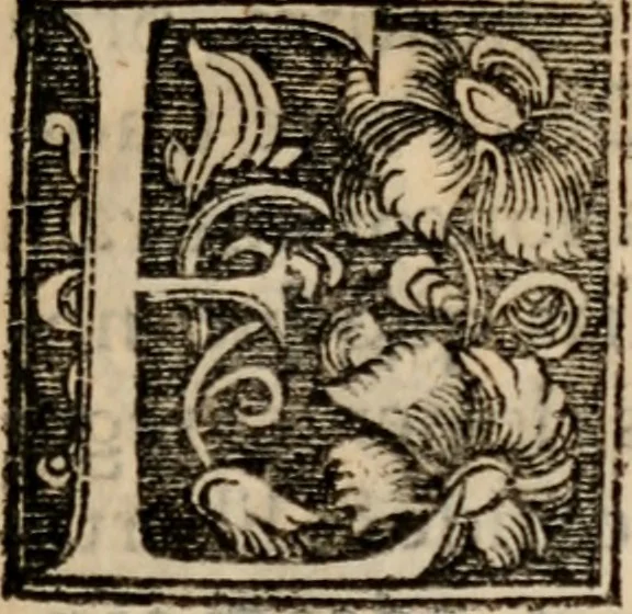An illustration from Confessio doctrinae Saxonicarum ecclesiarum : scripta anno Domini M.D.LI. ut Synodo Tridentinae exhiberetur, 1554, leaf 166