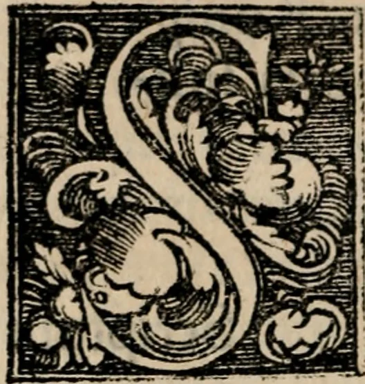 An illustration from Confessio doctrinae Saxonicarum ecclesiarum : scripta anno Domini M.D.LI. ut Synodo Tridentinae exhiberetur, 1554, leaf 171