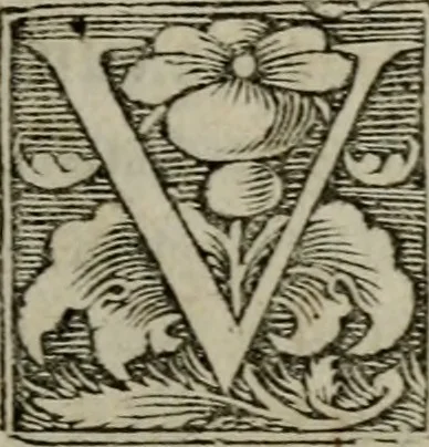 An illustration from Confessio fidei et religionis Christianae, qvam sereniss : et potentiss : Romanorum Vngariae & Bohemiae &c, 1575, leaf 12