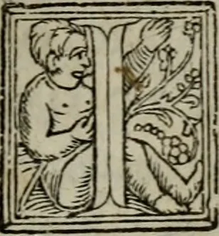 An illustration from Confessio fidei et religionis Christianae, qvam sereniss : et potentiss : Romanorum Vngariae & Bohemiae &c, 1575, leaf 50
