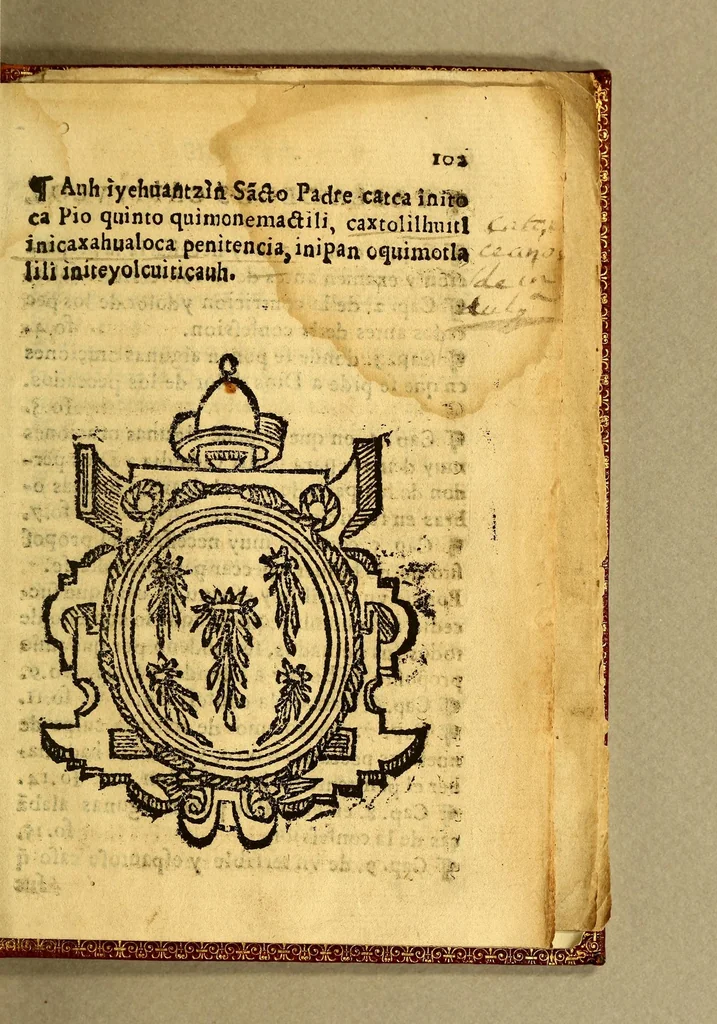 An illustration from Confessionario en lengua mexicana y castellana. : Con muchas aduertencias muy necessarias para los Confessores., 1599, leaf 229