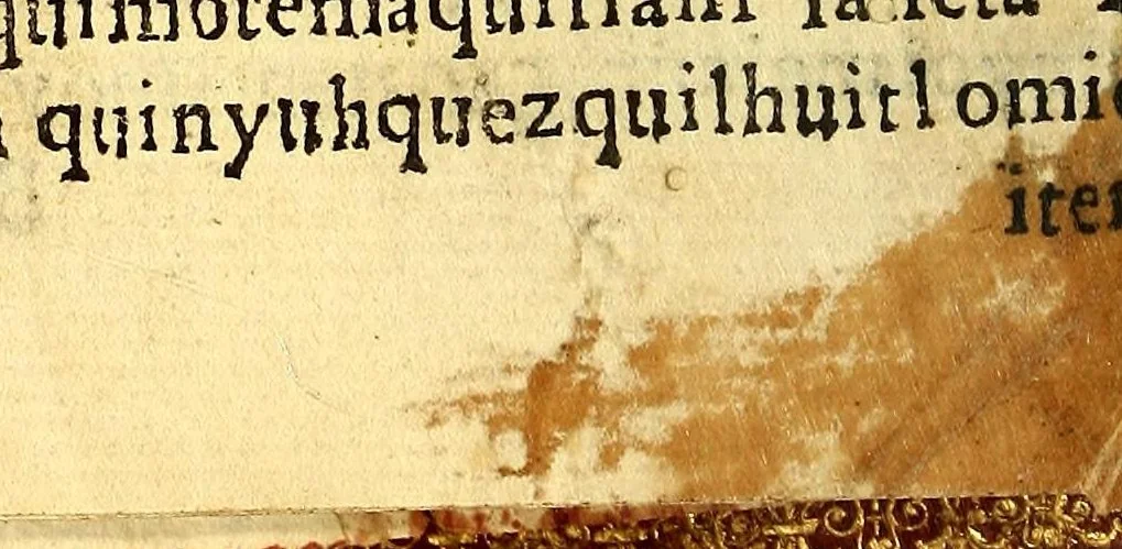 An illustration from Confessionario en lengua mexicana y castellana. : Con muchas aduertencias muy necessarias para los Confessores., 1599, leaf 42