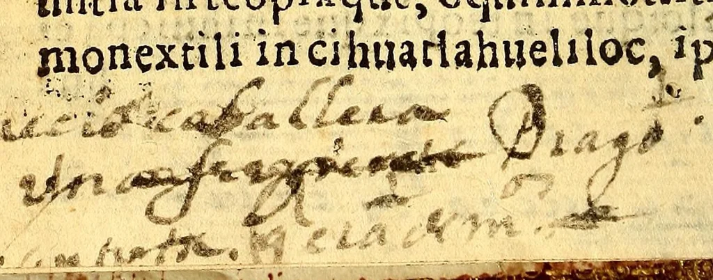 An illustration from Confessionario en lengua mexicana y castellana. : Con muchas aduertencias muy necessarias para los Confessores., 1599, leaf 72