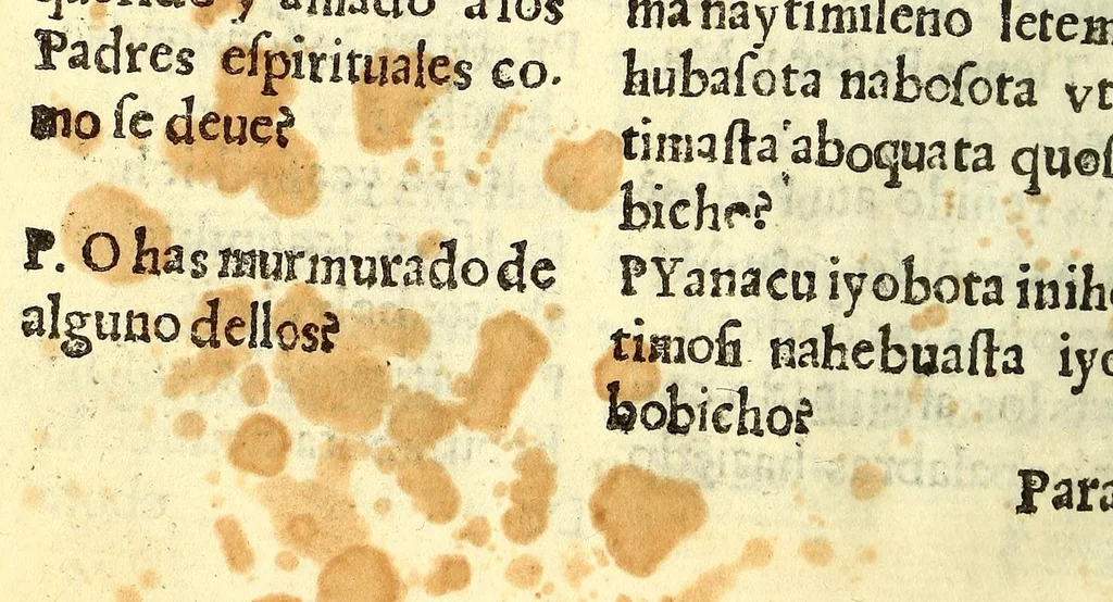 An illustration from Confessionario en lengua castellana, y timuquana con algunos consejos para animar al penitente. Y assi mismo van declarados algunos effectos y prerrogariuas [sic] deste sancto sacramento de la confession. Todo muy vtil y prouechoso, assi para que los padres confessores sepan instruyr al penitente como para que ellos aprendan à saber se confessar., 1613, leaf 440
