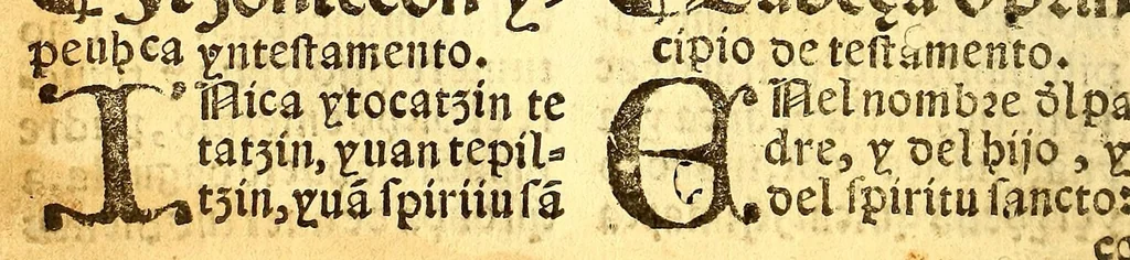An illustration from Confessionario mayor, en la lengna [sic] mexicana y castellana., 1578, leaf 132