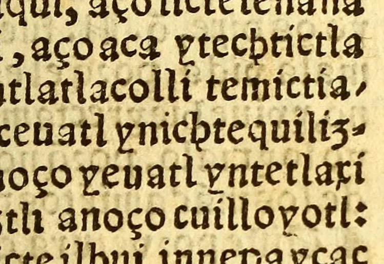 An illustration from Confessionario mayor, en la lengna [sic] mexicana y castellana., 1578, leaf 139