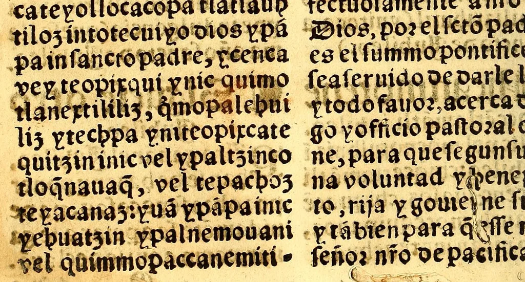 An illustration from Confessionario mayor, en la lengna [sic] mexicana y castellana., 1578, leaf 214