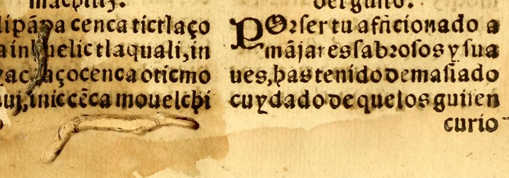 An illustration from Confessionario mayor, en la lengna [sic] mexicana y castellana., 1578, leaf 225