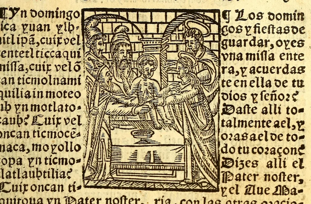 An illustration from Confessionario mayor, en la lengna [sic] mexicana y castellana., 1578, leaf 59