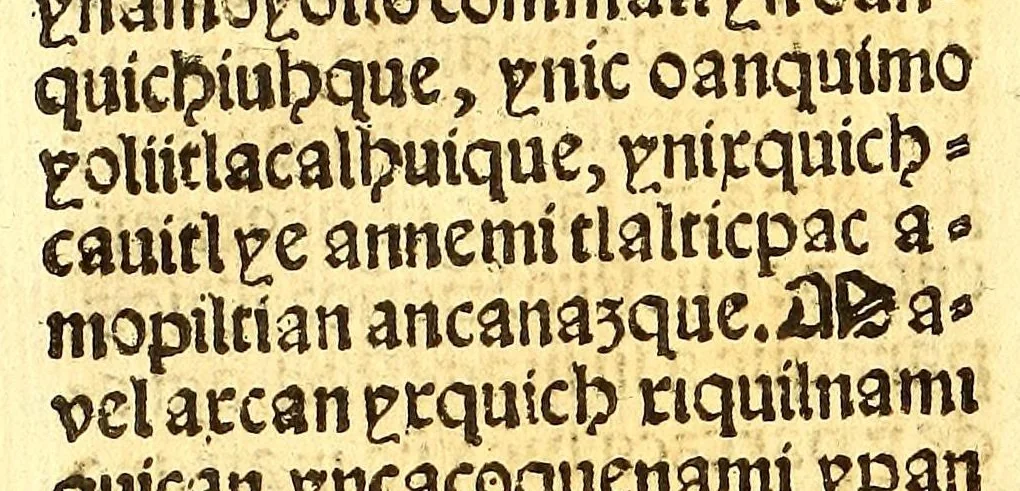 An illustration from Confessionario mayor, en lengua mexicana y castellana., 1565, leaf 108