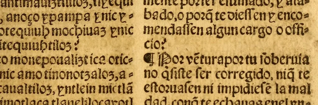 An illustration from Confessionario mayor, en lengua mexicana y castellana., 1565, leaf 161