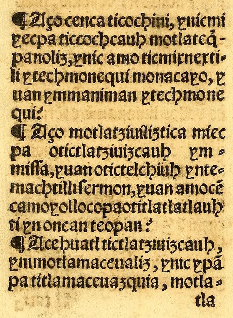 An illustration from Confessionario mayor, en lengua mexicana y castellana., 1565, leaf 194