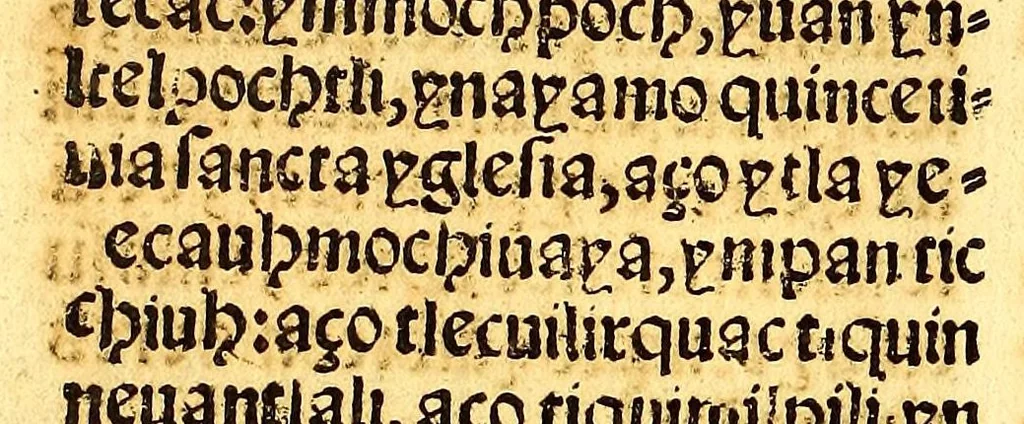 An illustration from Confessionario mayor, en lengua mexicana y castellana., 1565, leaf 202