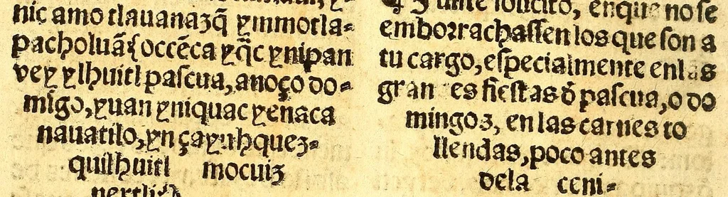 An illustration from Confessionario mayor, en lengua mexicana y castellana., 1565, leaf 60