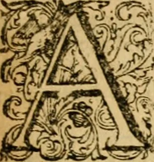 An illustration from The Confession of faith : together with the Larger and Lesser catechismes, composed by the Reverend Assembly of Divines, sitting at Westminster, presented to both houses of Parliament, 1675, leaf 28