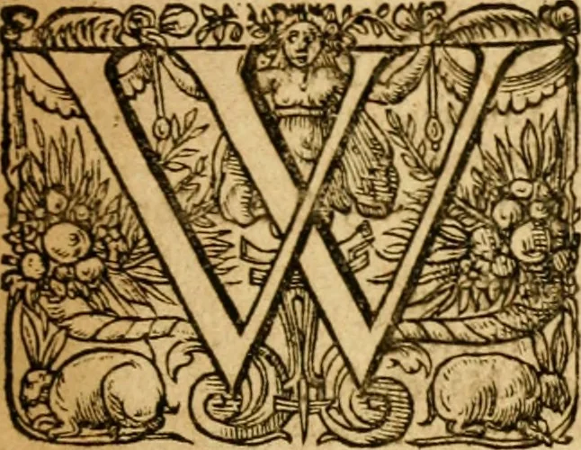 An illustration from The Confession of faith : together with the Larger and Lesser catechismes, composed by the Reverend Assembly of Divines, sitting at Westminster, presented to both houses of Parliament, 1675, leaf 8