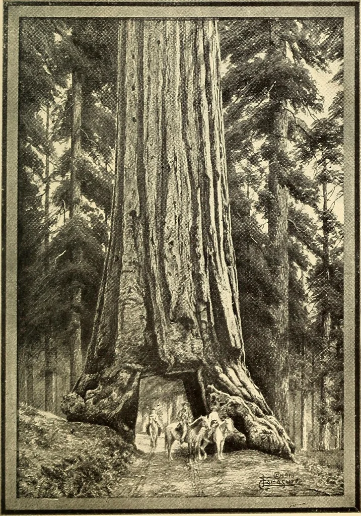 An illustration from The confession of a master mason, and The legend, 1914, leaf 50