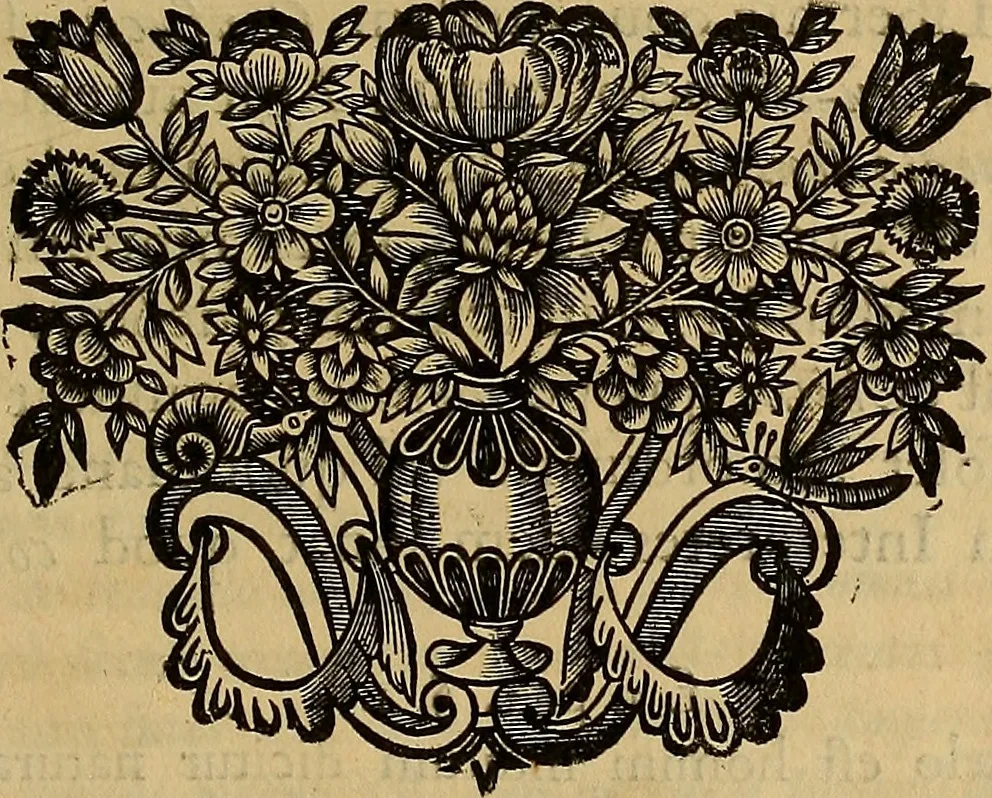 An illustration from Confucius sinarum philosophus, sive, Scientia sinensis latine exposita, 1687, leaf 168