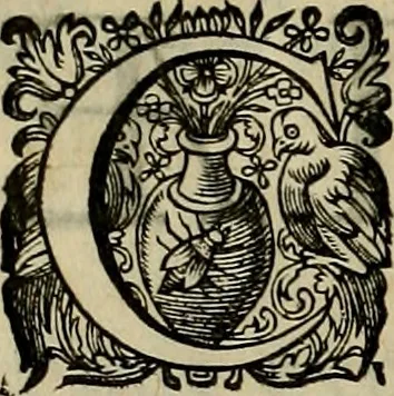 An illustration from Confucius sinarum philosophus, sive, Scientia sinensis latine exposita, 1687, leaf 239