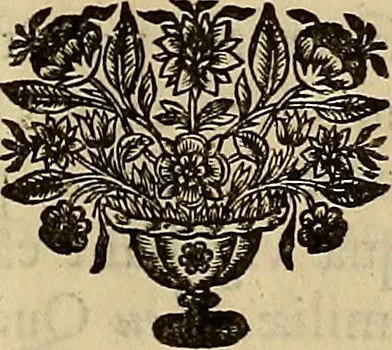 An illustration from Confucius sinarum philosophus, sive, Scientia sinensis latine exposita, 1687, leaf 24