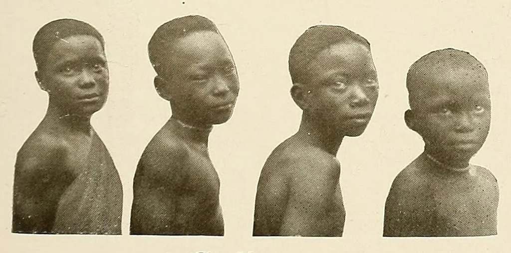 An illustration from Congoland : a book for young people, 1920, leaf 29