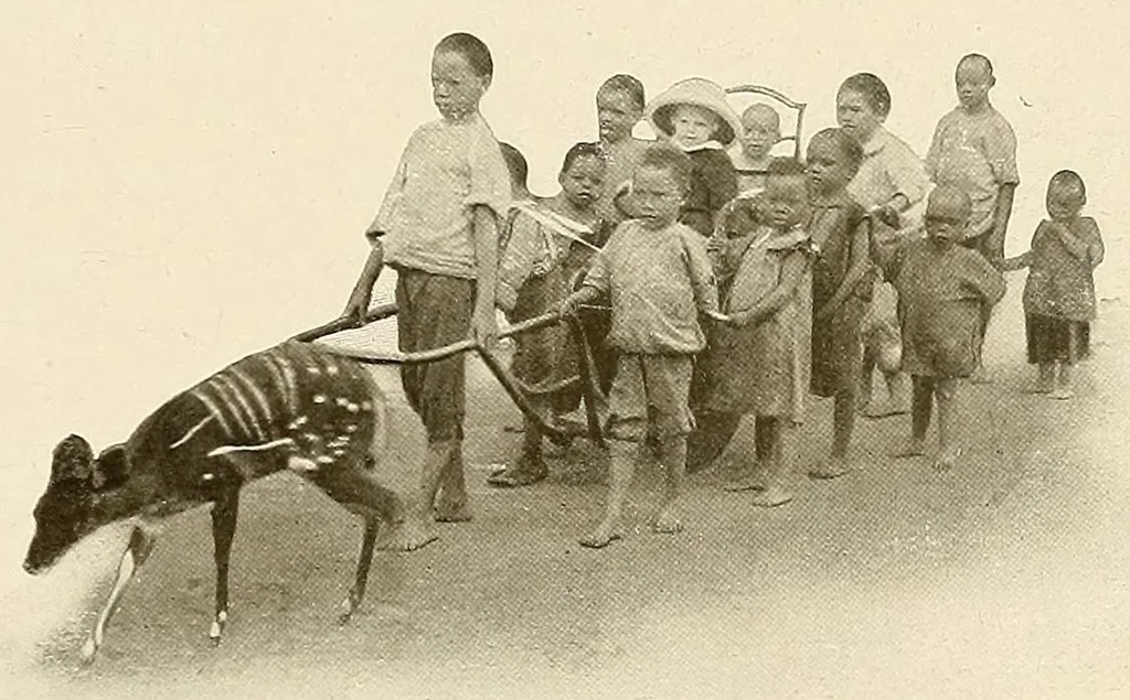 An illustration from Congoland : a book for young people, 1920, leaf 69