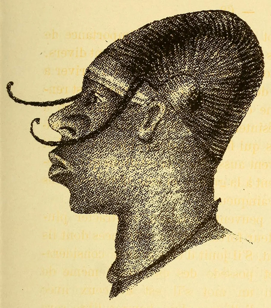 An illustration from Congo : Leopoldville, Bolobo, Équateur, 1883-1889, 1909, leaf 79