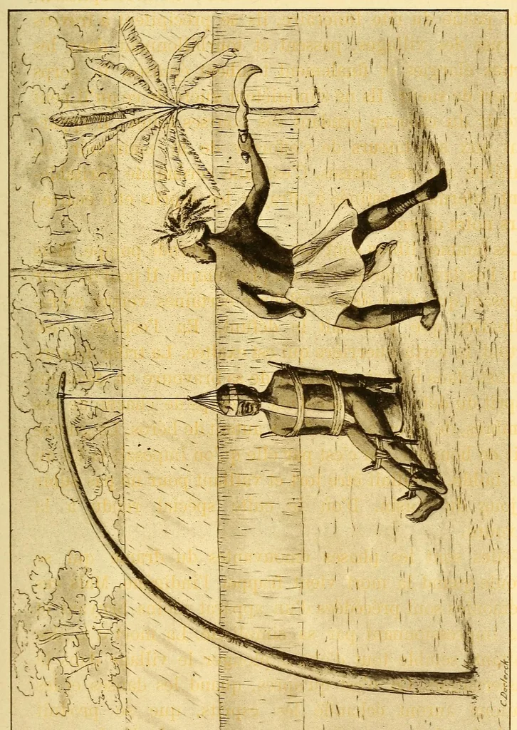 An illustration from Congo : Leopoldville, Bolobo, Équateur, 1883-1889, 1909, leaf 99
