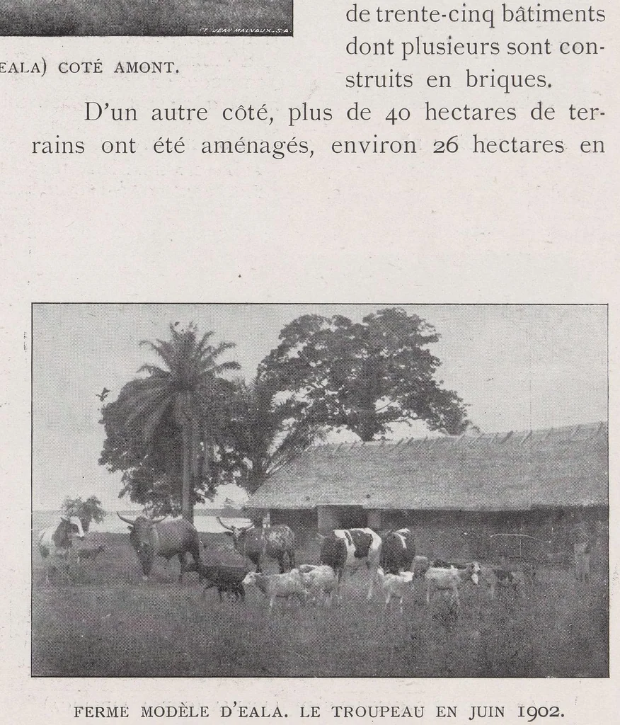 An illustration from Congo-Noël; publié au profit de la Villa coloniale (Sanatorium de Watermael), 1902, leaf 83